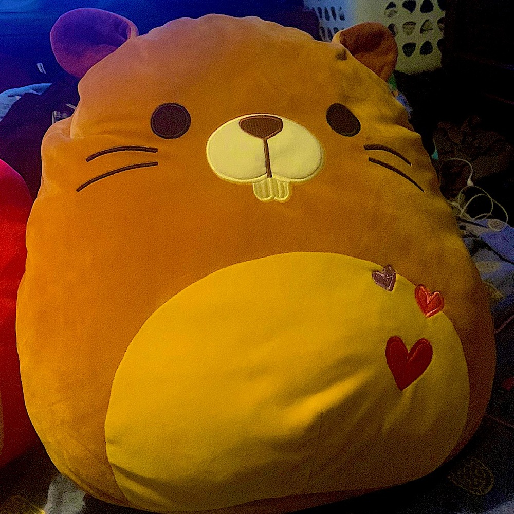 Used valentines rare SQUISHMELLOW chip